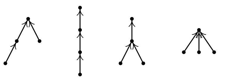 Four oriented trees